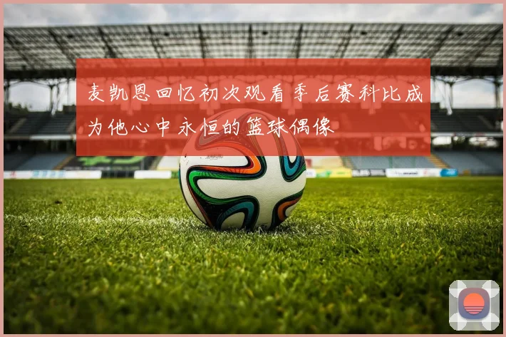 麦凯恩回忆初次观看季后赛科比成为他心中永恒的篮球偶像